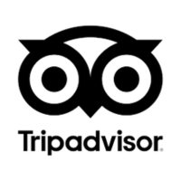 X8.png